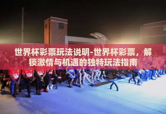 世界杯彩票玩法说明-世界杯彩票，解锁激情与机遇的独特玩法指南