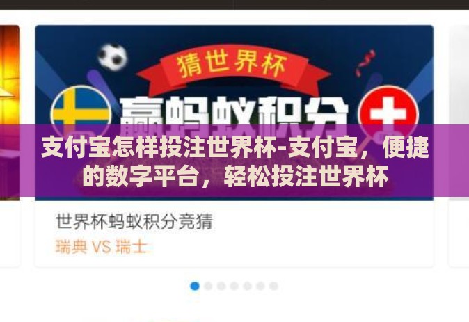 支付宝怎样投注世界杯-支付宝，便捷的数字平台，轻松投注世界杯
