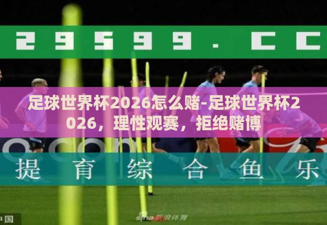 足球世界杯2026怎么赌-足球世界杯2026，理性观赛，拒绝赌博