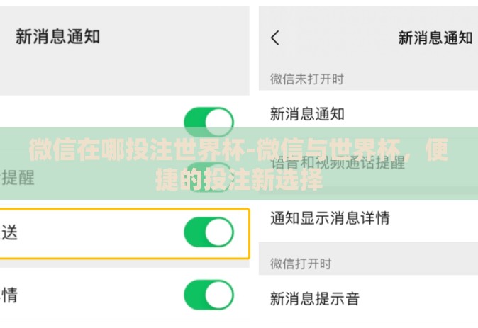微信在哪投注世界杯-微信与世界杯，便捷的投注新选择