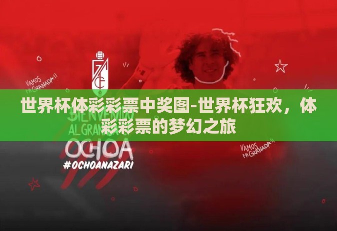 世界杯体彩彩票中奖图-世界杯狂欢，体彩彩票的梦幻之旅