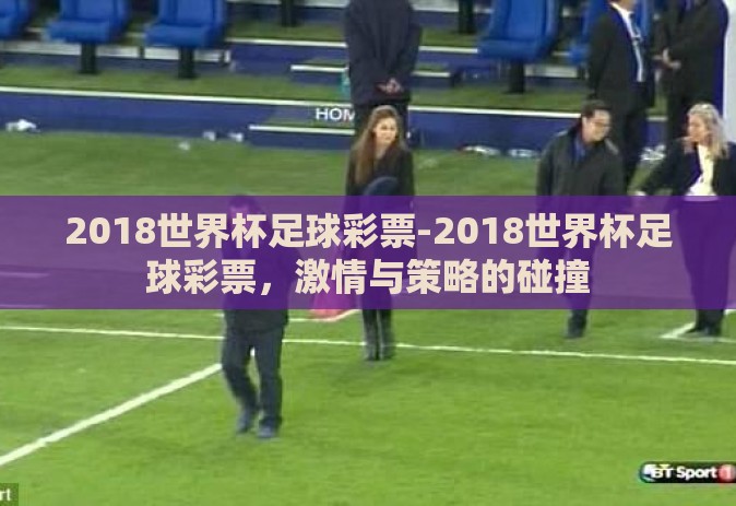 2018世界杯足球彩票-2018世界杯足球彩票，激情与策略的碰撞