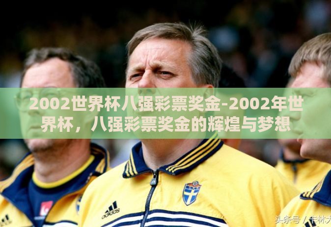 2002世界杯八强彩票奖金-2002年世界杯，八强彩票奖金的辉煌与梦想