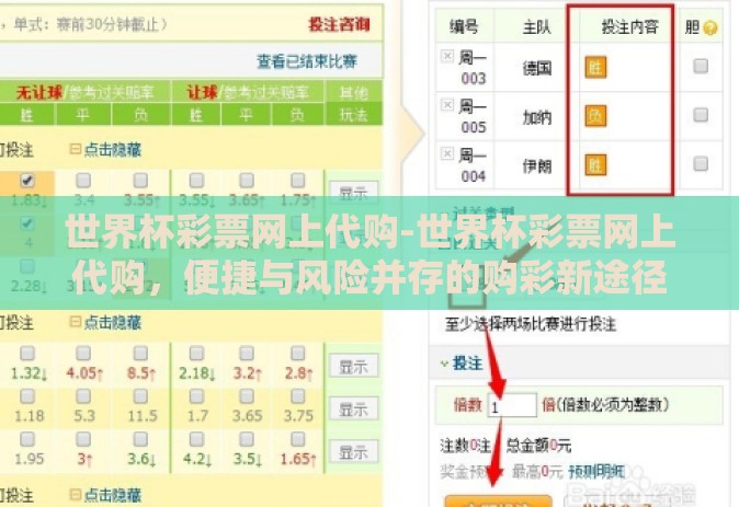 世界杯彩票网上代购-世界杯彩票网上代购，便捷与风险并存的购彩新途径