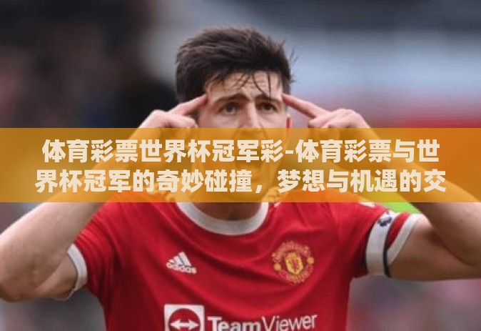 体育彩票世界杯冠军彩-体育彩票与世界杯冠军的奇妙碰撞，梦想与机遇的交汇