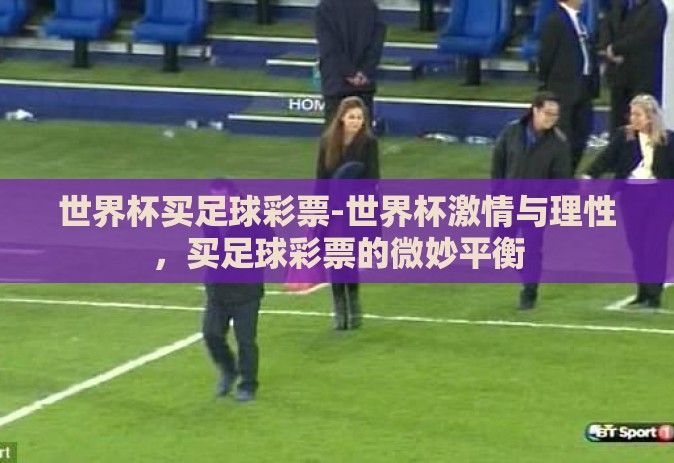 世界杯买足球彩票-世界杯激情与理性，买足球彩票的微妙平衡