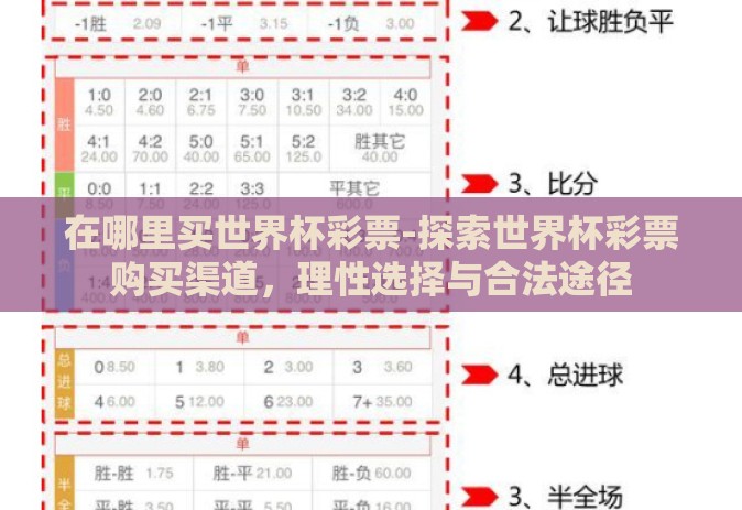 在哪里买世界杯彩票-探索世界杯彩票购买渠道，理性选择与合法途径