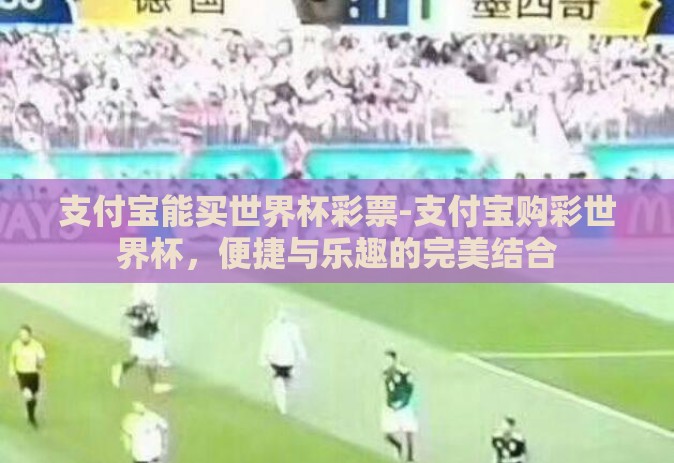 支付宝能买世界杯彩票-支付宝购彩世界杯，便捷与乐趣的完美结合