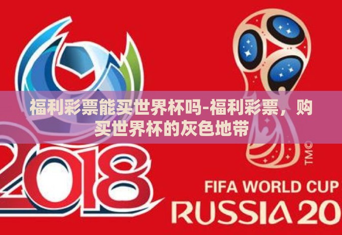 福利彩票能买世界杯吗-福利彩票，购买世界杯的灰色地带
