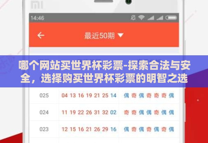 哪个网站买世界杯彩票-探索合法与安全，选择购买世界杯彩票的明智之选