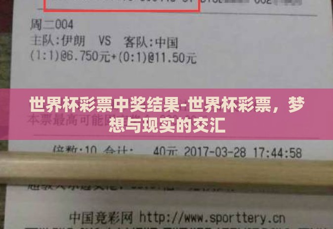 世界杯彩票中奖结果-世界杯彩票，梦想与现实的交汇