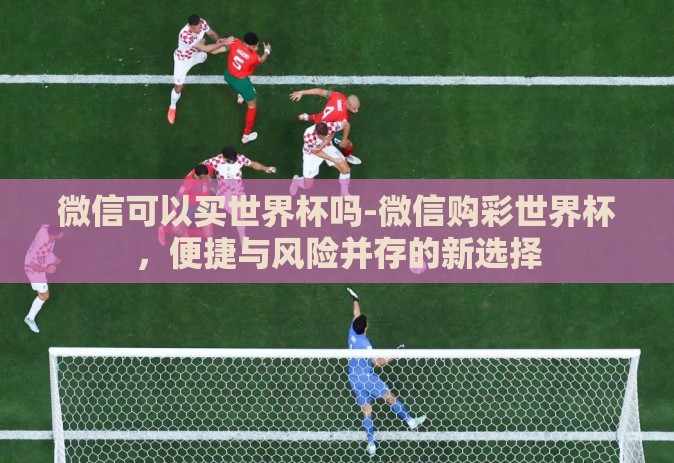 微信可以买世界杯吗-微信购彩世界杯，便捷与风险并存的新选择
