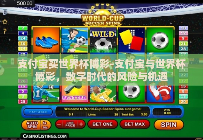 支付宝买世界杯博彩-支付宝与世界杯博彩，数字时代的风险与机遇