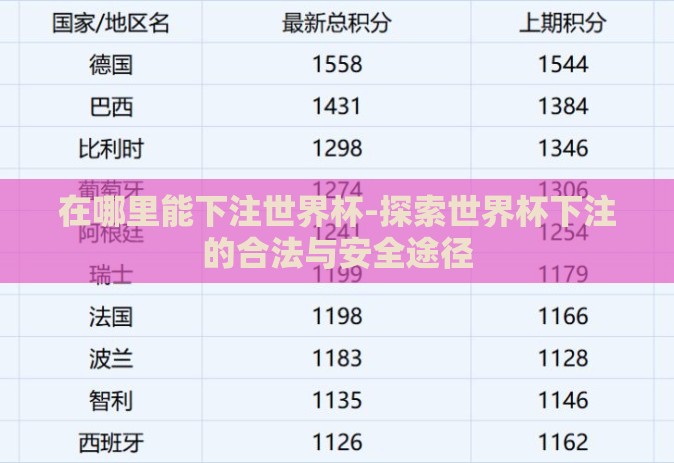 在哪里能下注世界杯-探索世界杯下注的合法与安全途径