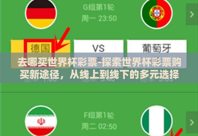 去哪买世界杯彩票-探索世界杯彩票购买新途径，从线上到线下的多元选择