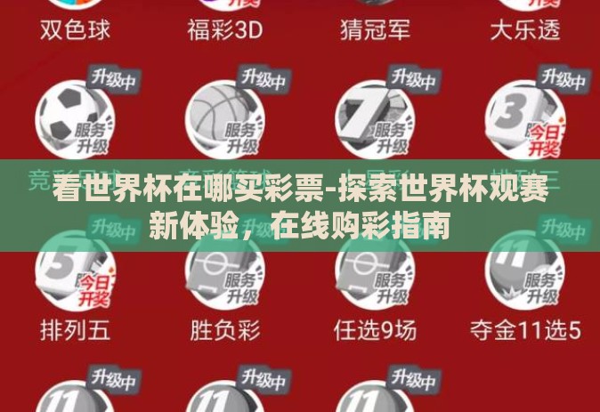 看世界杯在哪买彩票-探索世界杯观赛新体验，在线购彩指南