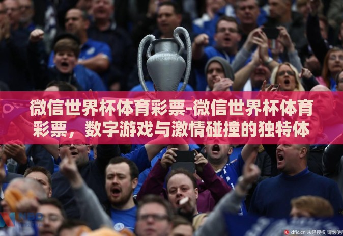 微信世界杯体育彩票-微信世界杯体育彩票，数字游戏与激情碰撞的独特体验