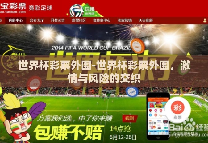 世界杯彩票外围-世界杯彩票外围，激情与风险的交织