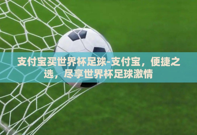 支付宝买世界杯足球-支付宝,便捷之选,尽享世界杯足球激情 支付宝买世界杯足球-支付宝,便捷之选,尽享世界杯足球激情