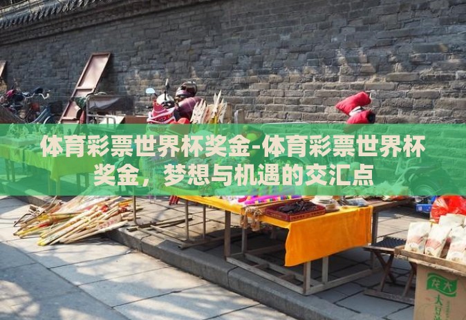 体育彩票世界杯奖金-体育彩票世界杯奖金,梦想与机遇的交汇点 体育彩票世界杯奖金-体育彩票世界杯奖金,梦想与机遇的交汇点